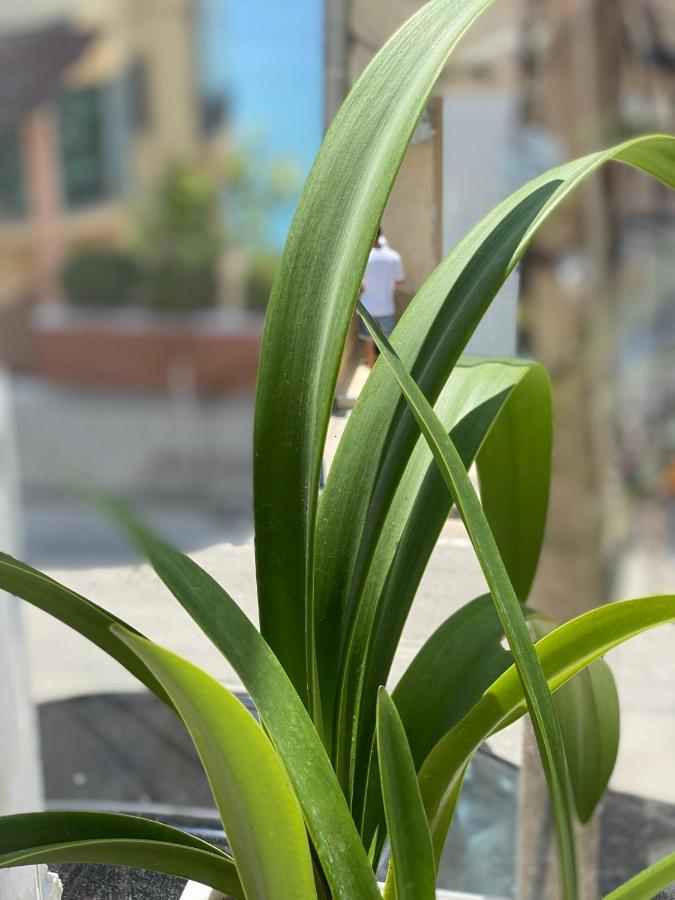 Violet'S Boutique Apartments ซารานเดอ ภายนอก รูปภาพ